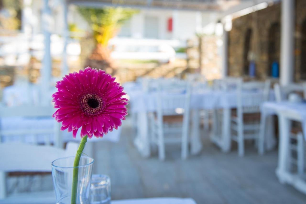 Villa Irini Platis Gialos  Esterno foto